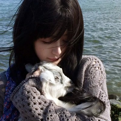 狐妖小红娘日语版